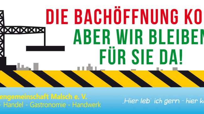 Teilnahme der IG Malsch auf dem Faschingsumzug in Malsch